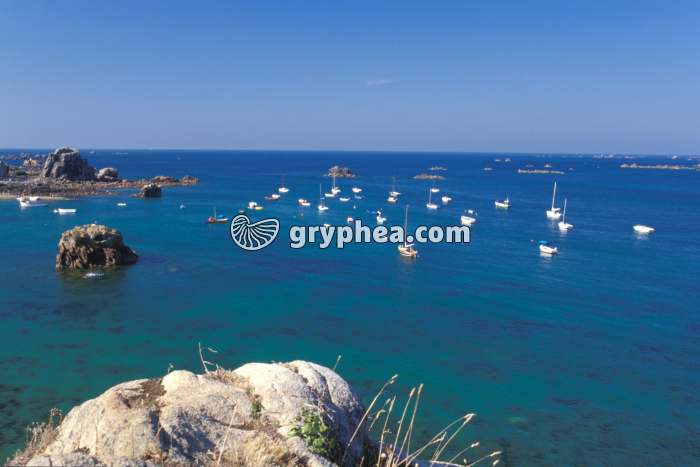 Marée haute - gryphea.org